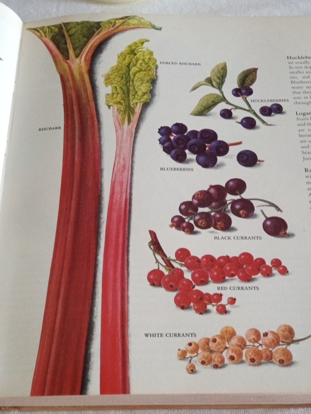 Reader's Digest Creative Cooking Cookbook - Picture 8 of 14